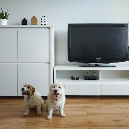 Uroczy Apartament Pod Skarpa Вадовице Екстериор снимка
